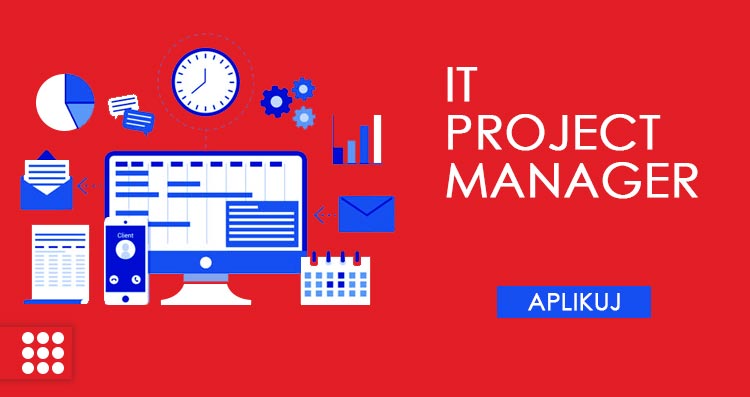 IT Project Manager